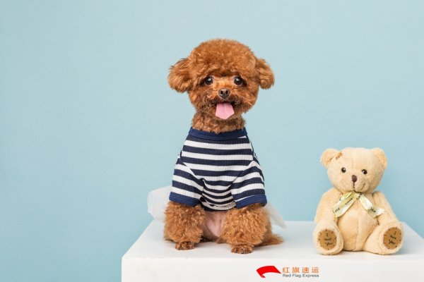 疫情期間香港商品如何轉(zhuǎn)運(yùn)到四川攀枝花呢？